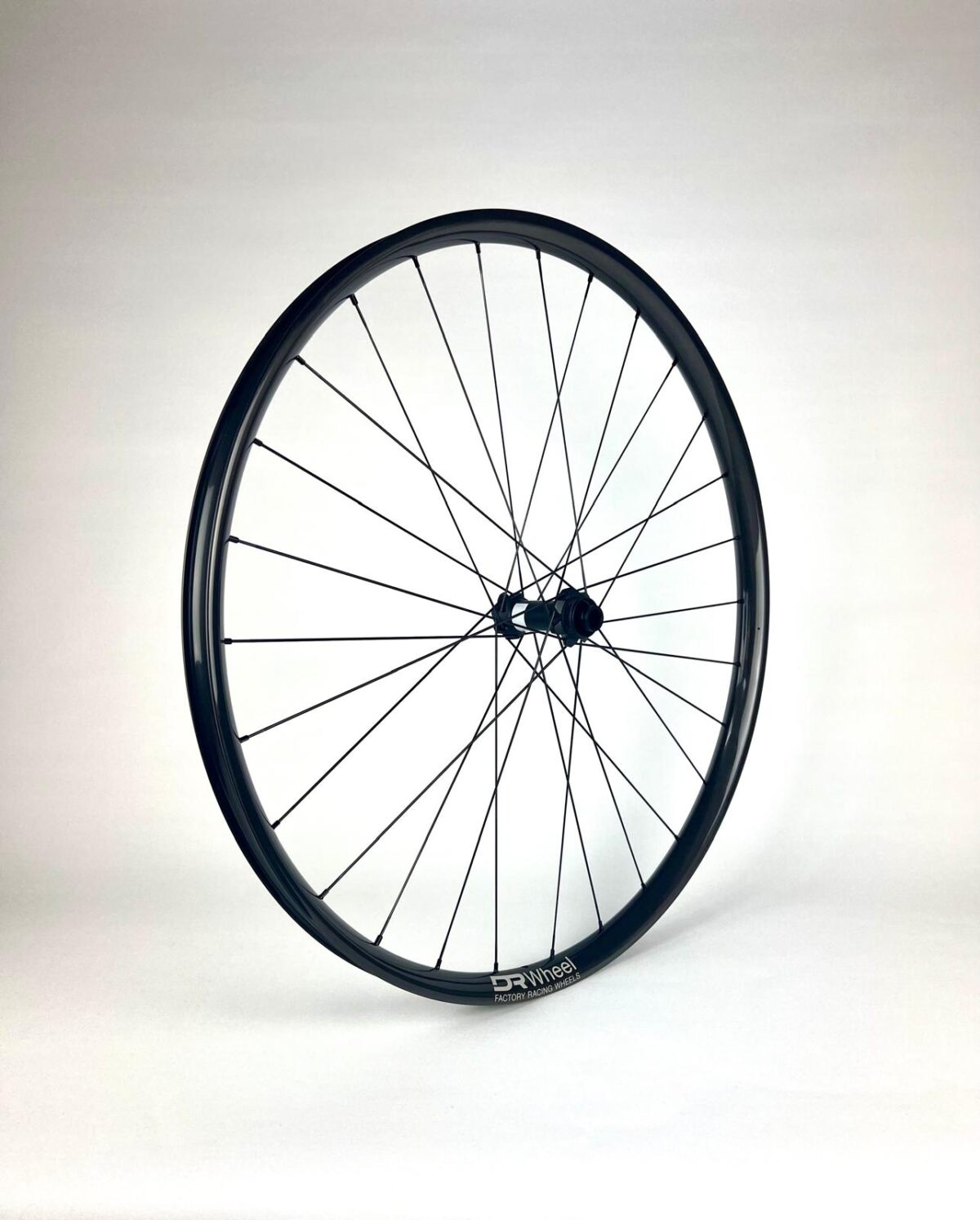 Kit para montar DR Wheel Factory XC 30 S - Imagen 2
